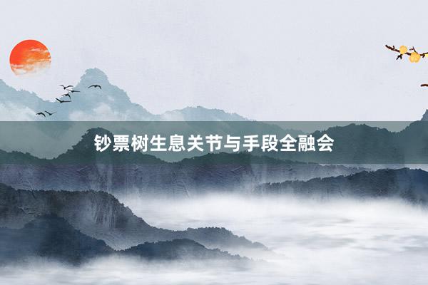 钞票树生息关节与手段全融会