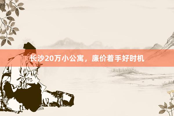 长沙20万小公寓,廉价着手好时机